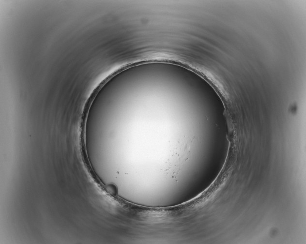 X0000099521134200805221438
