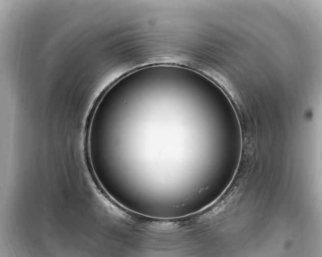 X0000099521135200805221438