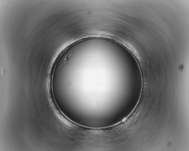 X0000099521136200805221438