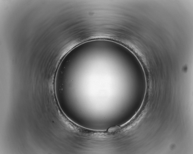 X0000099521137200805221438