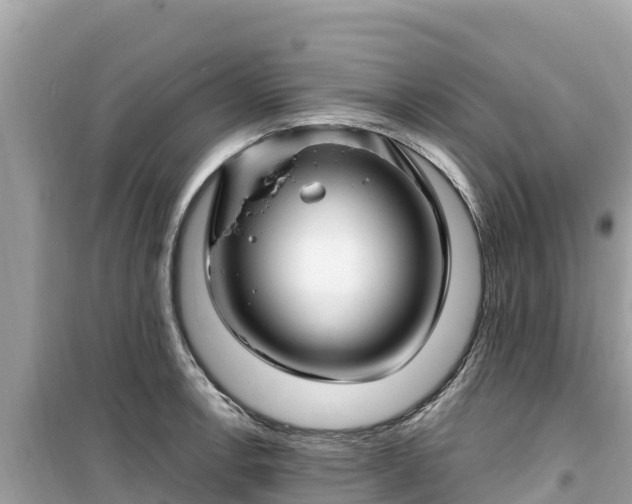 X0000099521138200805221438