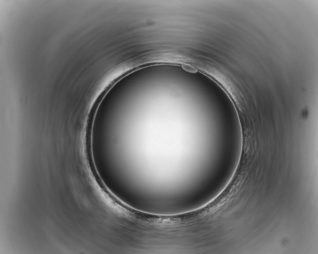 X0000099521139200805221438