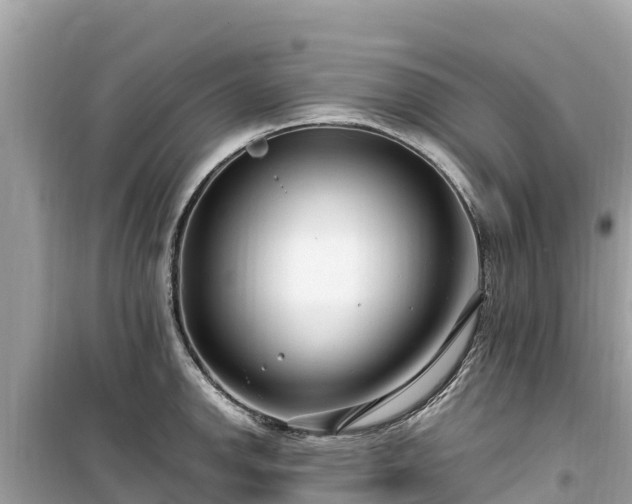 X0000099521142200805221438