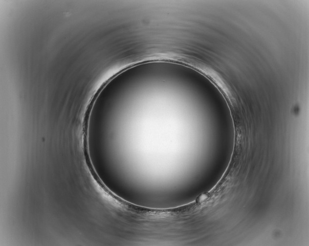 X0000099521143200805221438