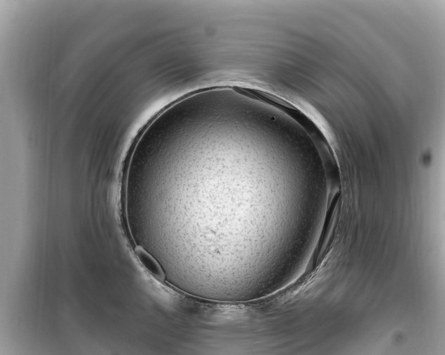 X0000099521144200805221438