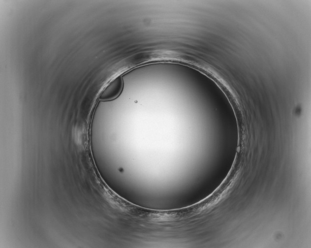 X0000099521145200805221438