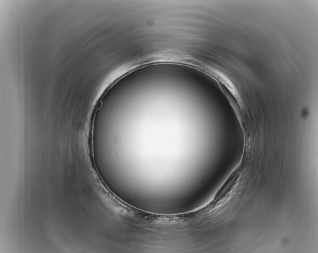 X0000099521146200805221438