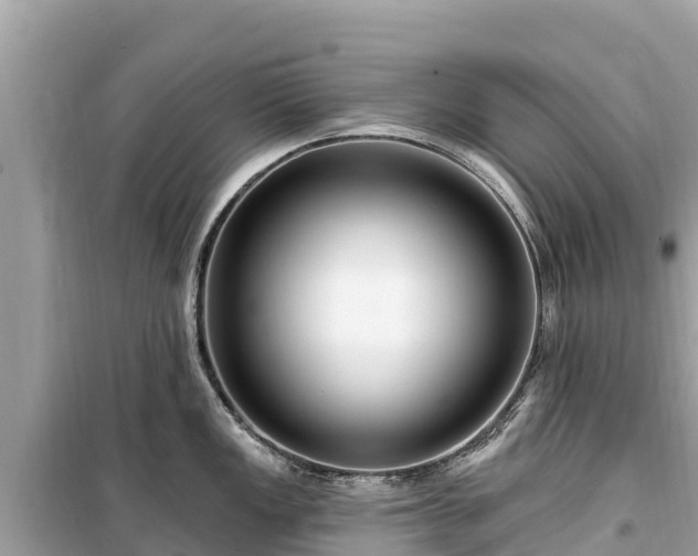 X0000099521149200805221438
