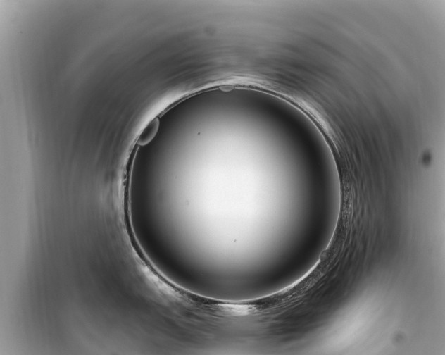 X0000099521151200805221438