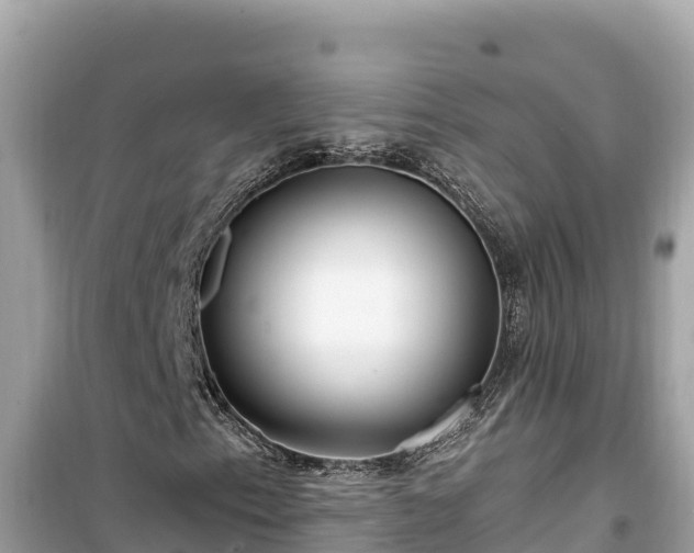 X0000099521153200805221438