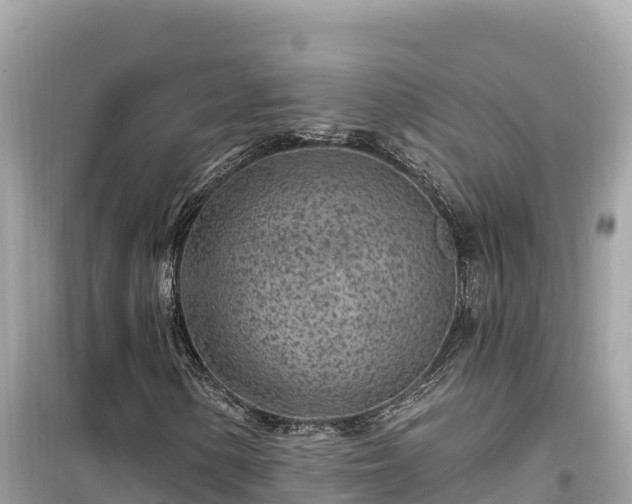X0000099521154200805221438
