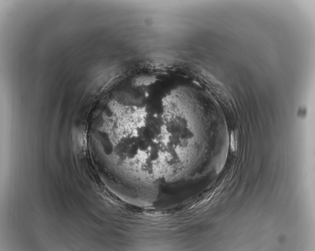 X0000099521155200805221438