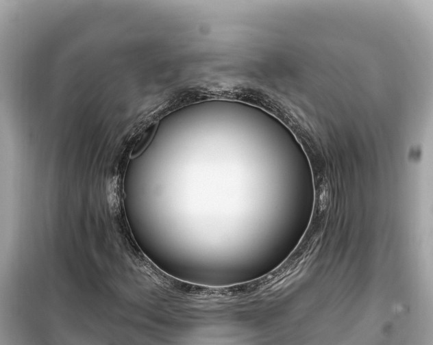 X0000099521156200805221438