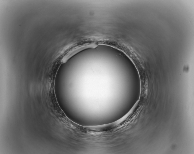 X0000099521157200805221438