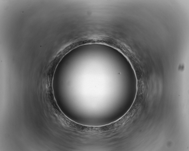 X0000099521158200805221438