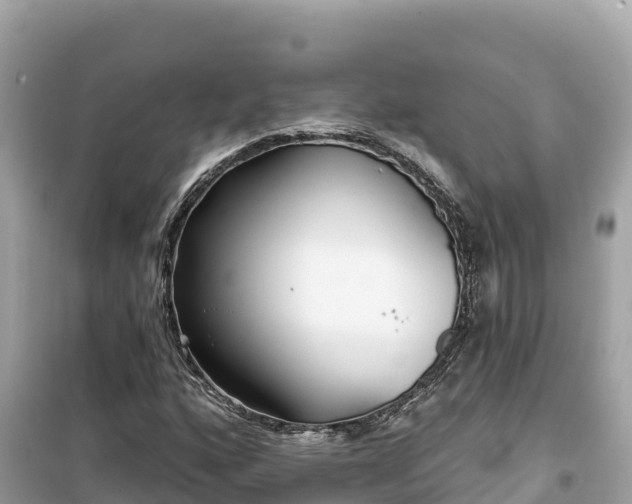 X0000099521160200805221438
