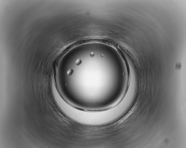 X0000099521161200805221438