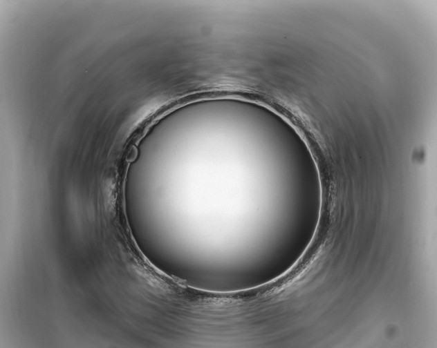 X0000099521163200805221438