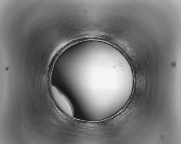 X0000099521164200805221438