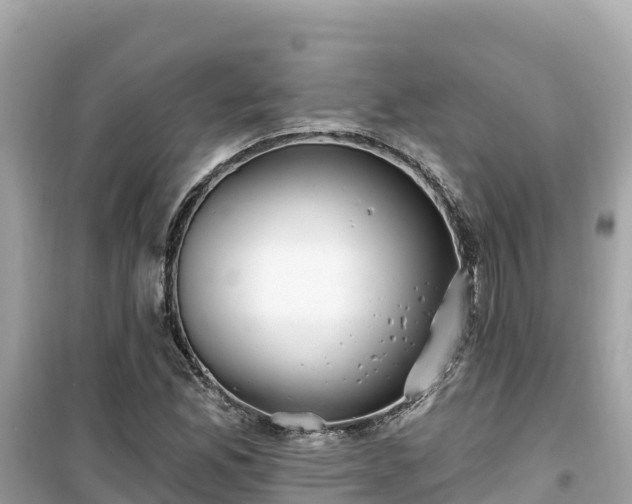 X0000099521165200805221438