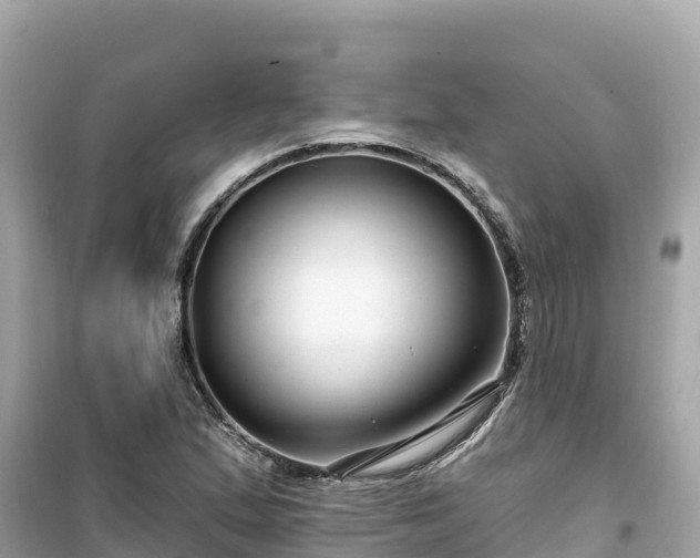 X0000099521167200805221438