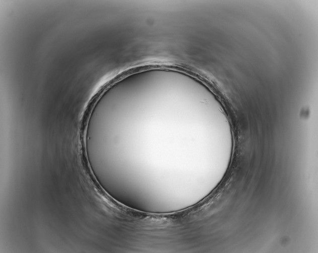 X0000099521168200805221438