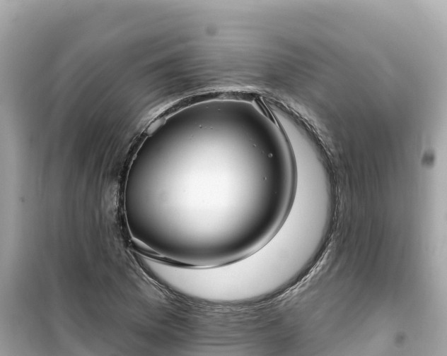 X0000099521169200805221438