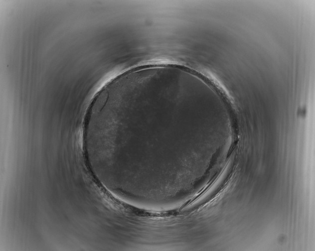 X0000099521173200805221438
