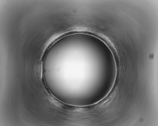X0000099521175200805221438