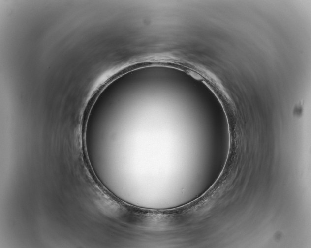 X0000099521176200805221438