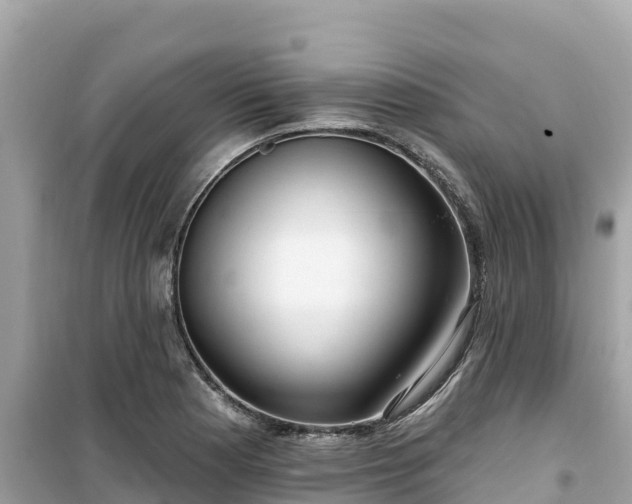 X0000099521177200805221438