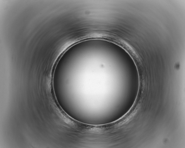 X0000099521178200805221438