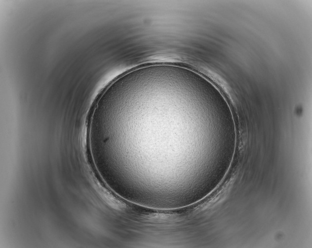 X0000099521179200805221438