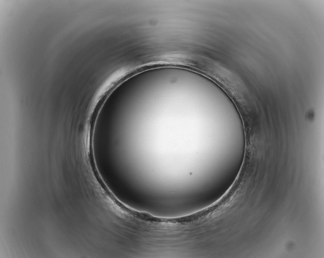 X0000099521180200805221438