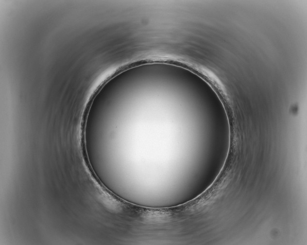 X0000099521183200805221437