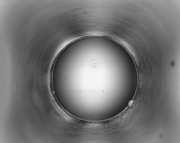 X0000099521187200805221437