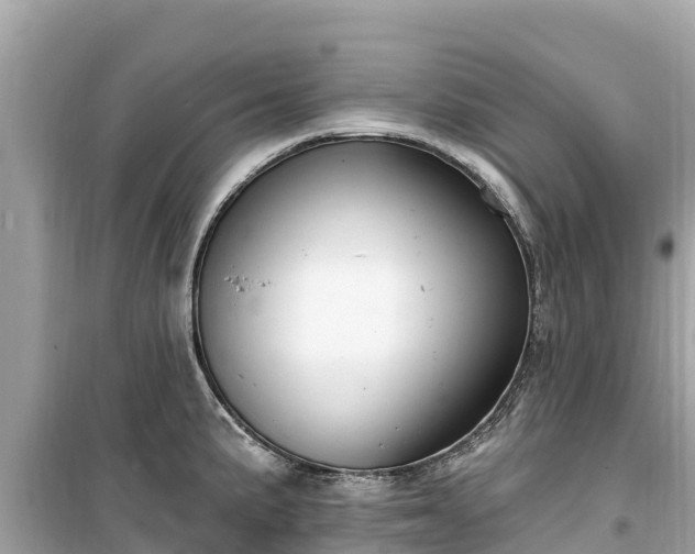 X0000099521191200805221437