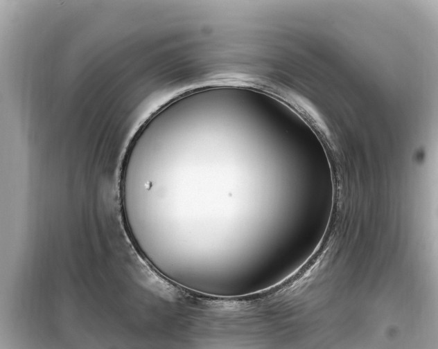 X0000099521192200805221437