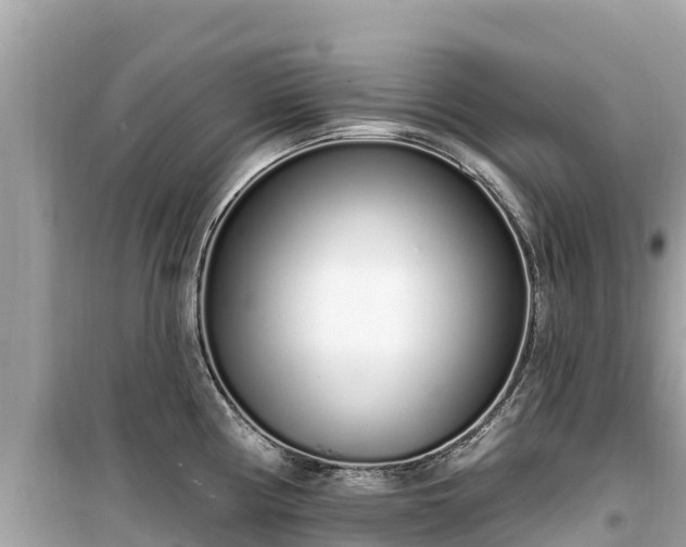 X0000099521194200805221437