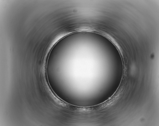 X0000099521195200805221437