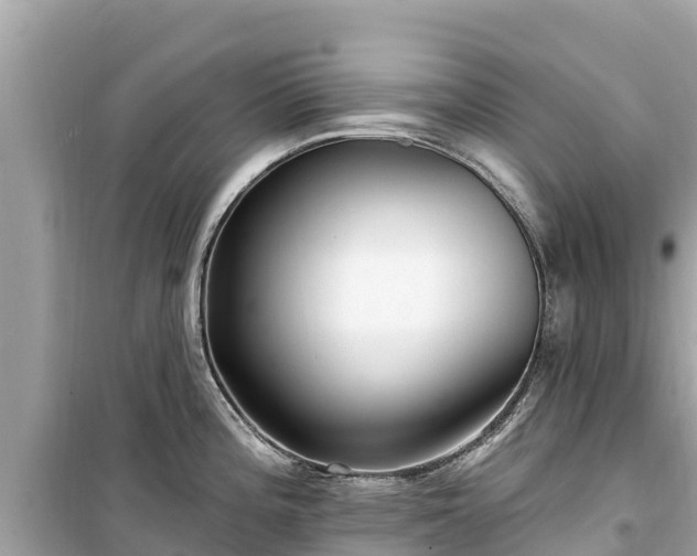 X0000099521196200805221437