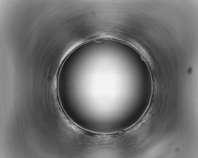 X0000099521198200805221437