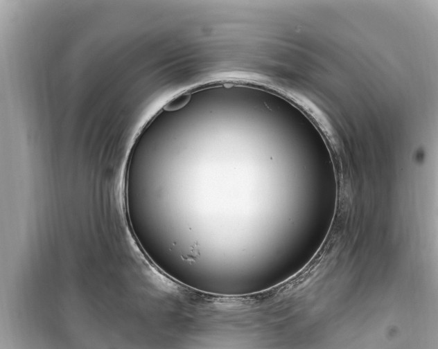 X0000099521199200805221437