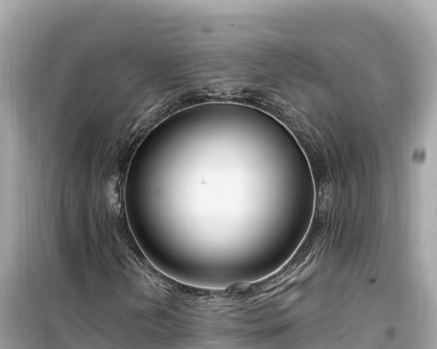 X0000099521202200805221437