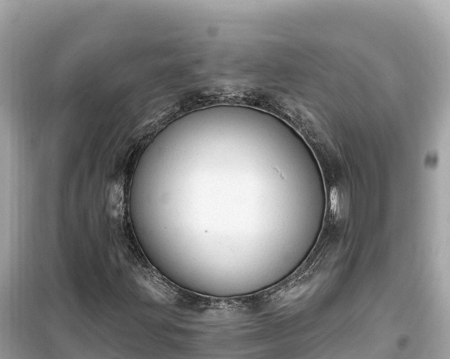 X0000099521203200805221437