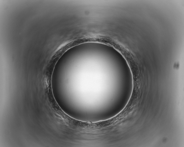 X0000099521206200805221437