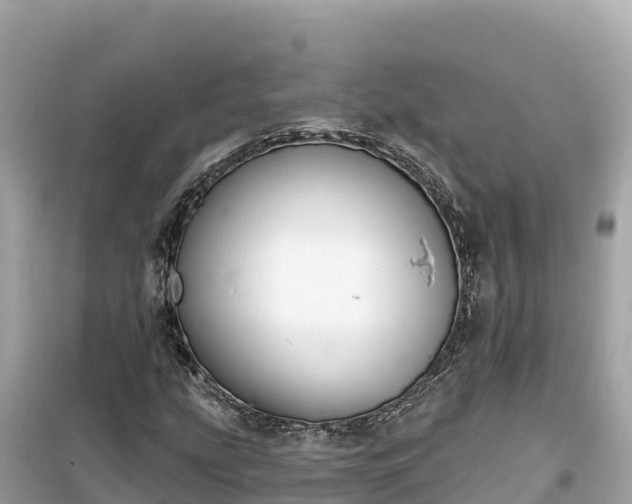 X0000099521207200805221437