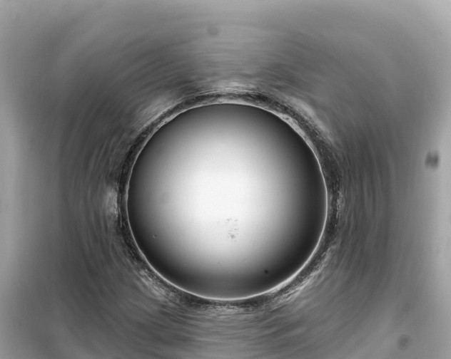 X0000099521209200805221437