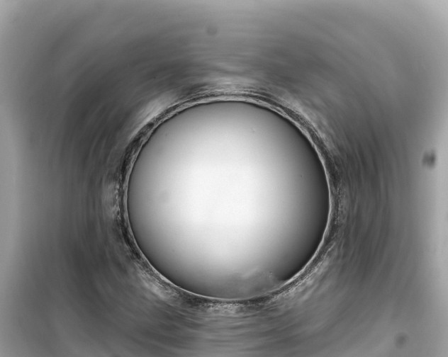 X0000099521211200805221437