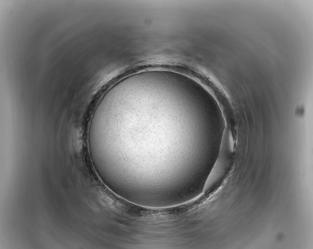 X0000099521213200805221437